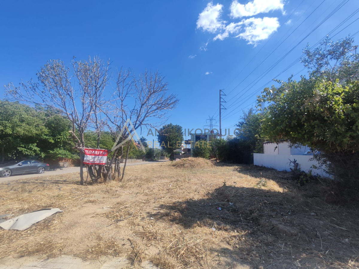 property-img